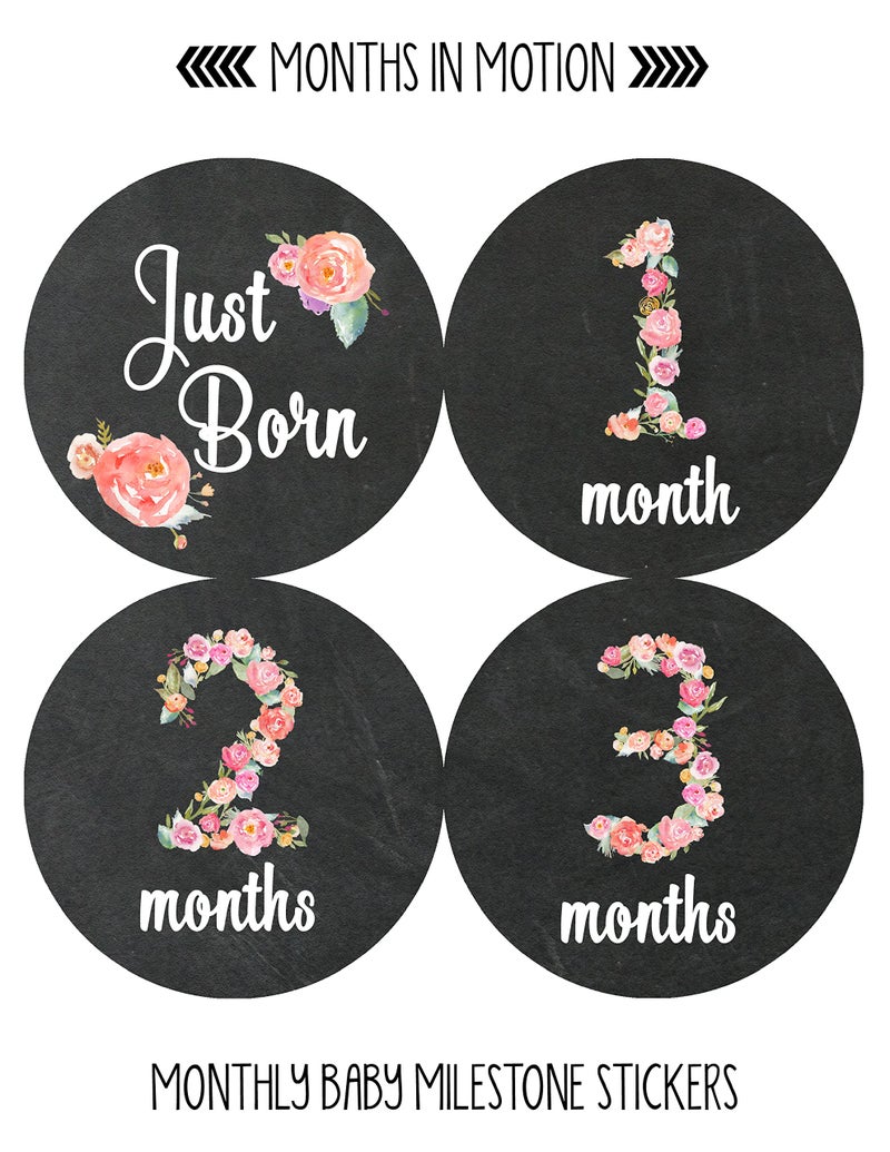 Months in Motion Baby Monthly Stickers - Baby Milestone Stickers - Newborn Girl Stickers - Month Stickers for Baby Girl - Baby Girl Stickers - Newborn Monthly Milestone Stickers - Set of 20 - Image 2